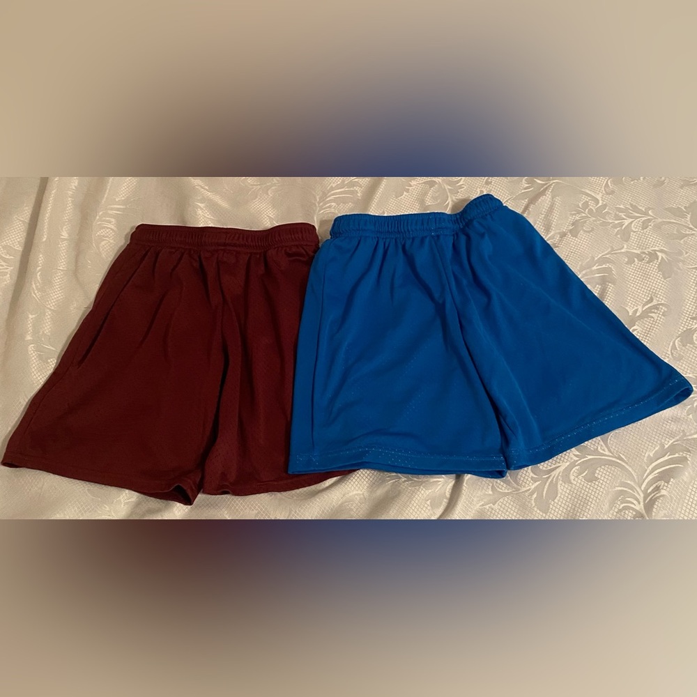 Two BCG boys mesh athletic shorts. Blue and maroon. Size L(14-16)